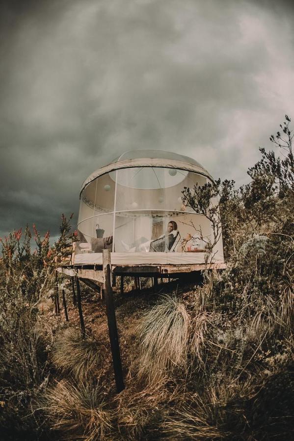 Cumbre Glamp Villa Tocancipa Luaran gambar